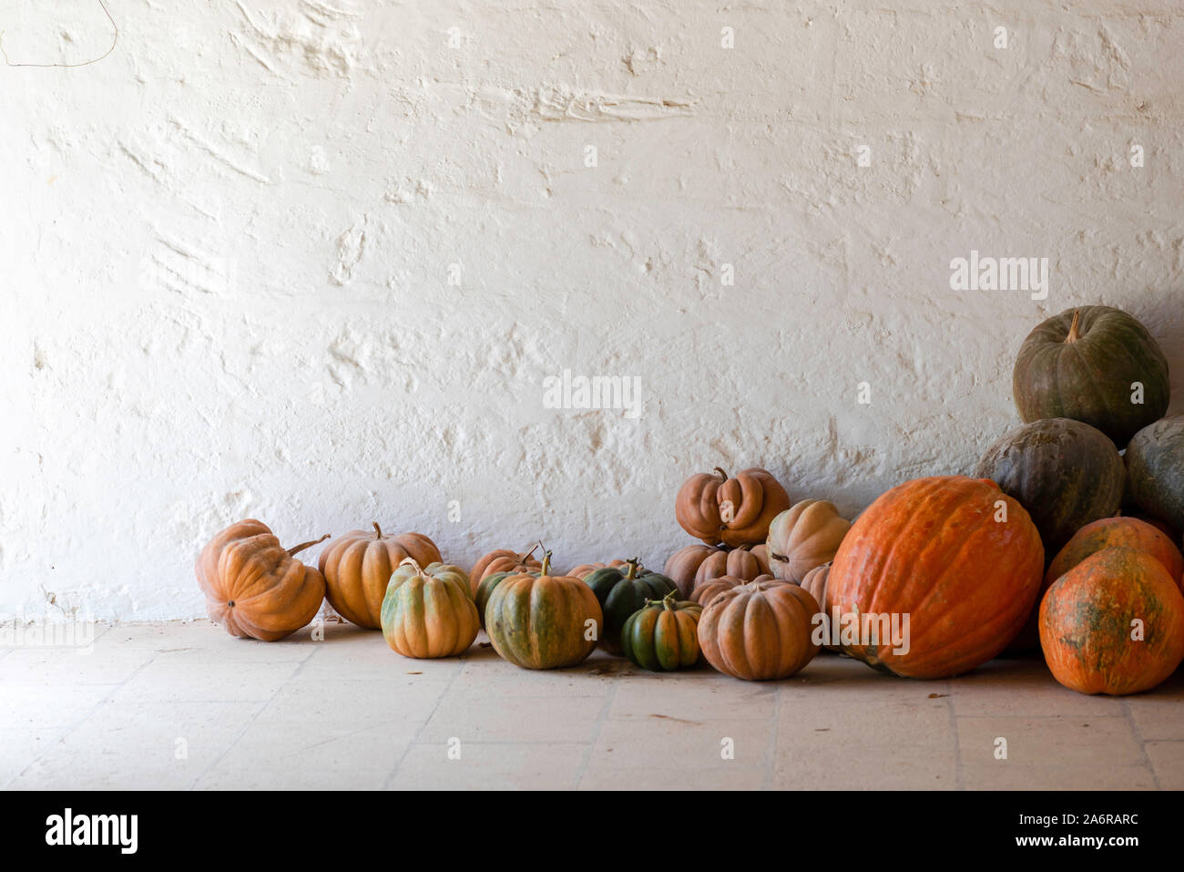 Varietà di zucca, zucche commestibili per la cottura e la Zucca di Halloween Foto Stock