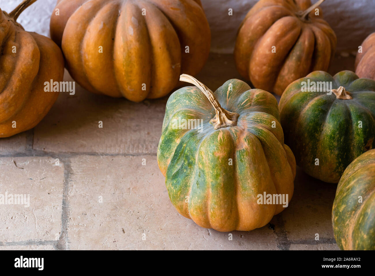 Varietà di zucca, zucche commestibili per la cottura e la Zucca di Halloween Foto Stock