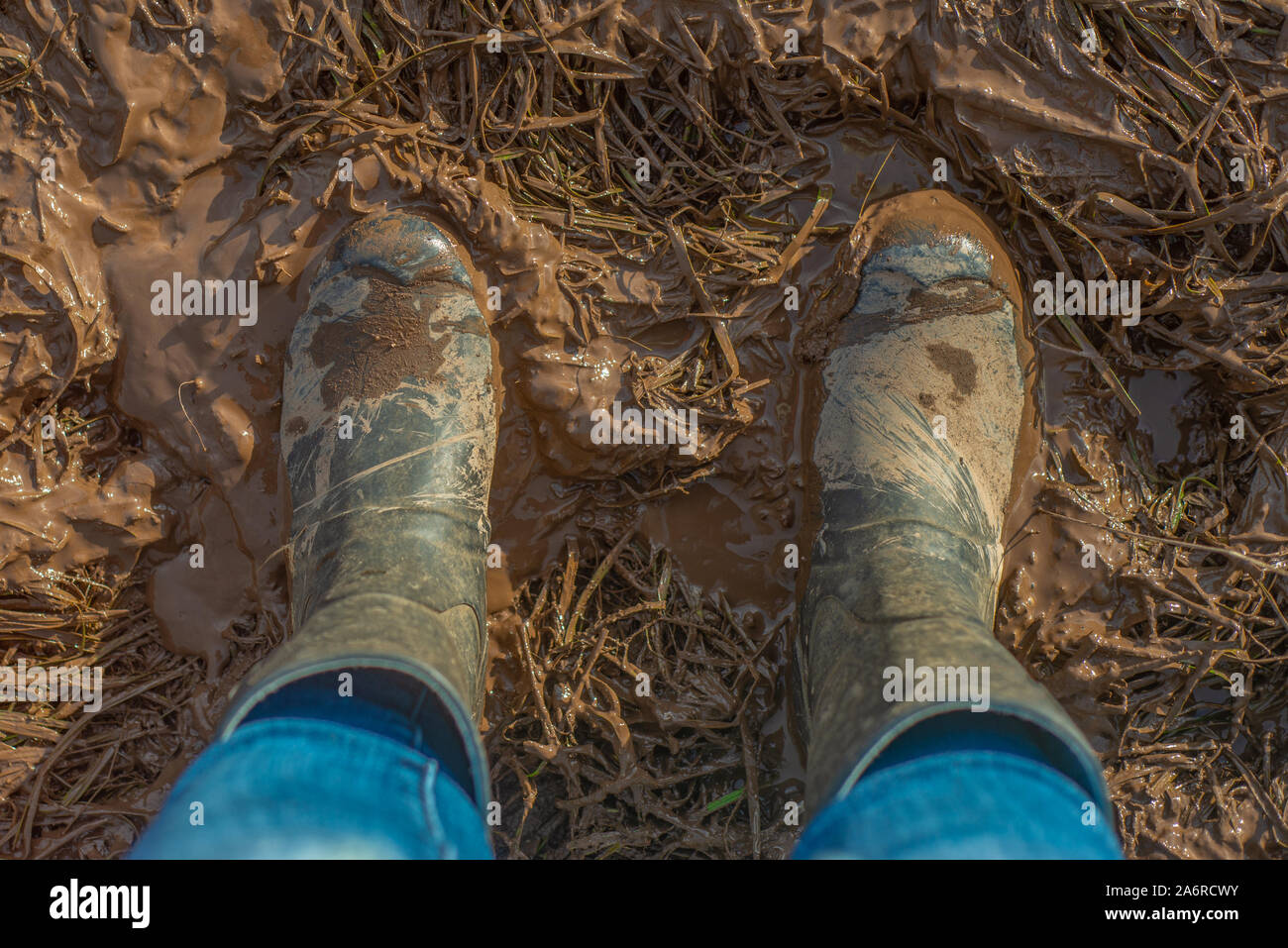 Vista superiore del fangoso stivali da pioggia in un coltivatore del campo in Scozia Foto Stock