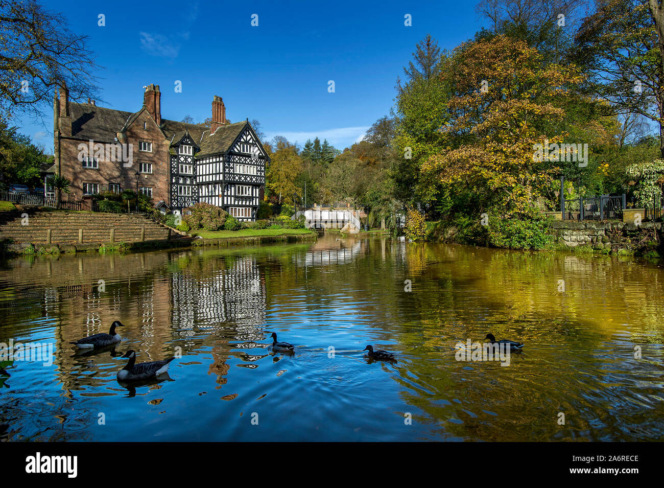 Worsley, Manchester, Regno Unito. 28 ottobre, 2019. Glorioso sole autunnale lungo la Bridgewater Canal a Worsley, Manchester oggi. Pacchetto di Worsley House si riflette nel canale. Credito di immagine Paolo Heyes/Alamy News. Foto Stock