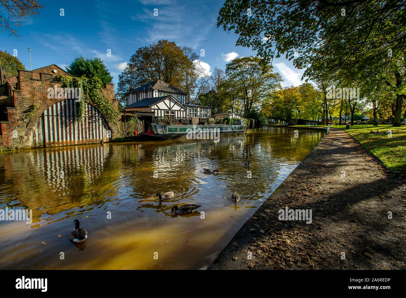 Worsley, Manchester, Regno Unito. 28 ottobre, 2019. Glorioso sole autunnale lungo la Bridgewater Canal a Worsley, Manchester oggi. Credito di immagine Paolo Heyes/Alamy News. Foto Stock