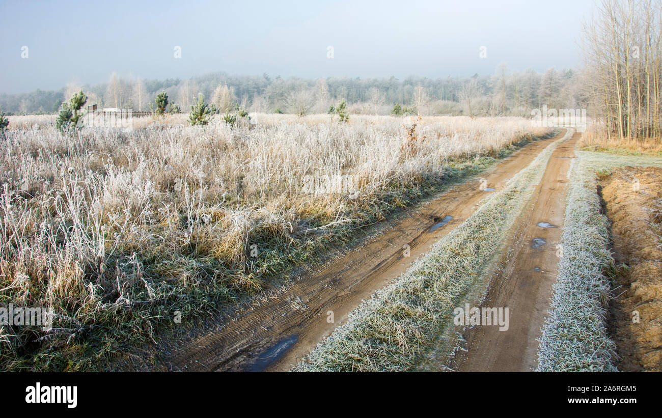 Mattina di brina sui prati e strada sterrata nel bosco Foto Stock