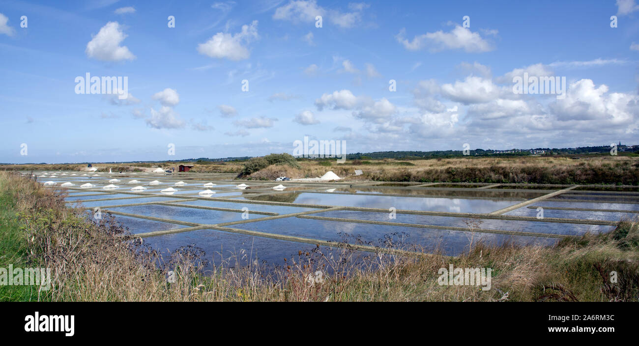 Foto di matrimonio in stagno di sale Foto Stock