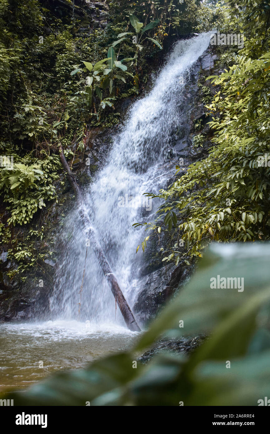 Durian cascata di Langkawi, Malesia Foto Stock Durian cascata di Langkawi, Malesia Foto Stock