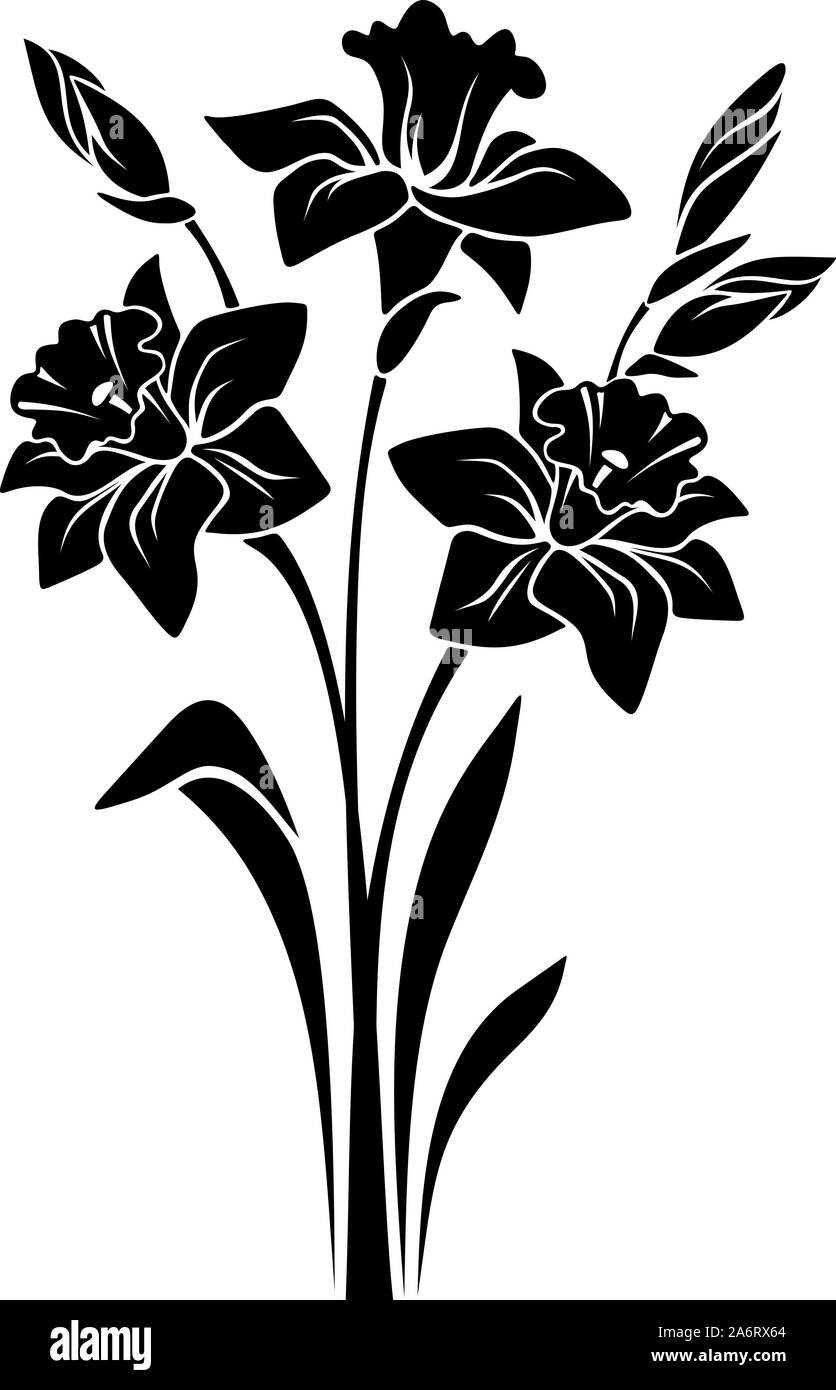 Silhouette vettoriale nera di bouquet di fiori di narciso isolato su uno sfondo bianco. Illustrazione Vettoriale