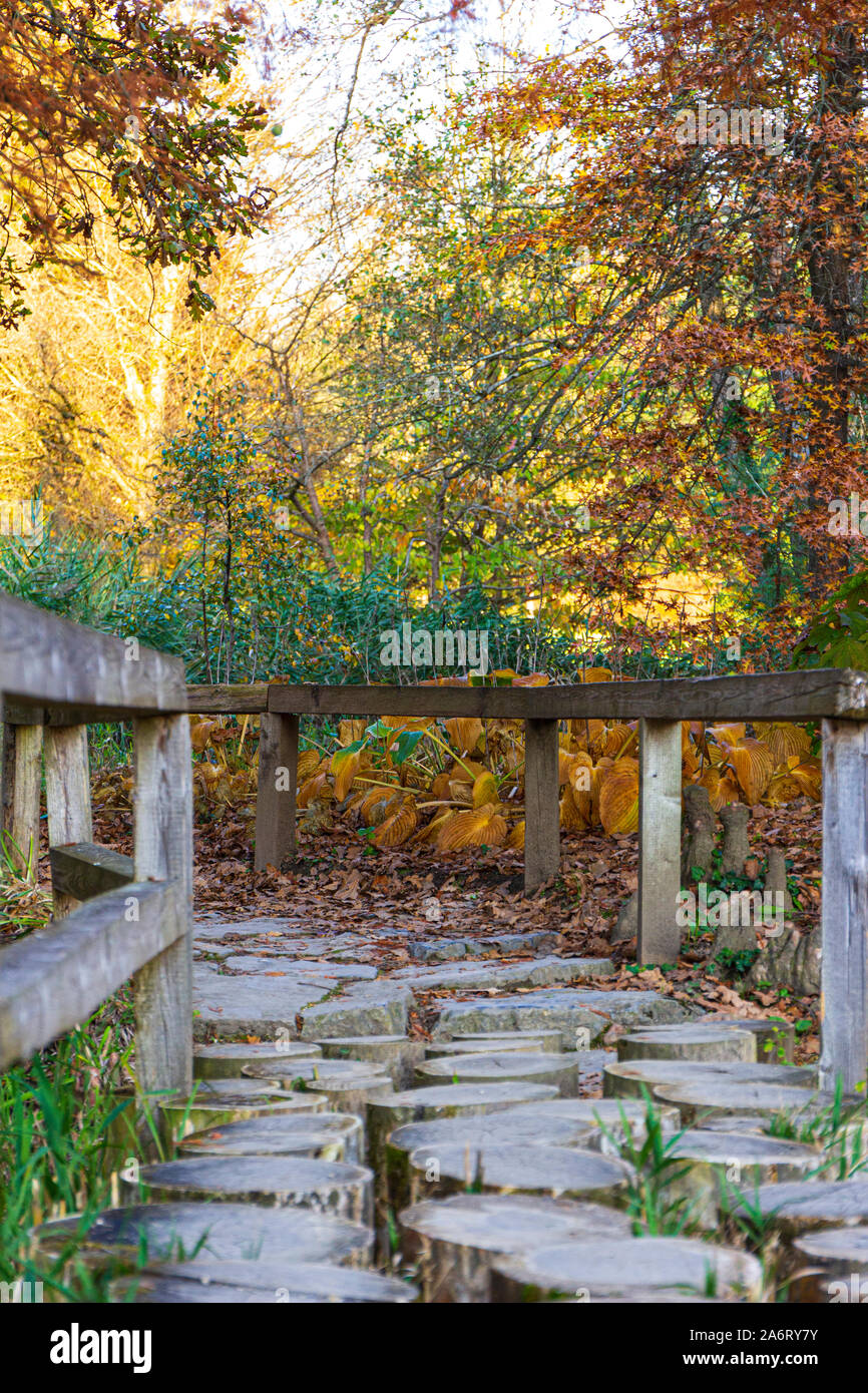 Ponte di legno in Arboretum Foto Stock