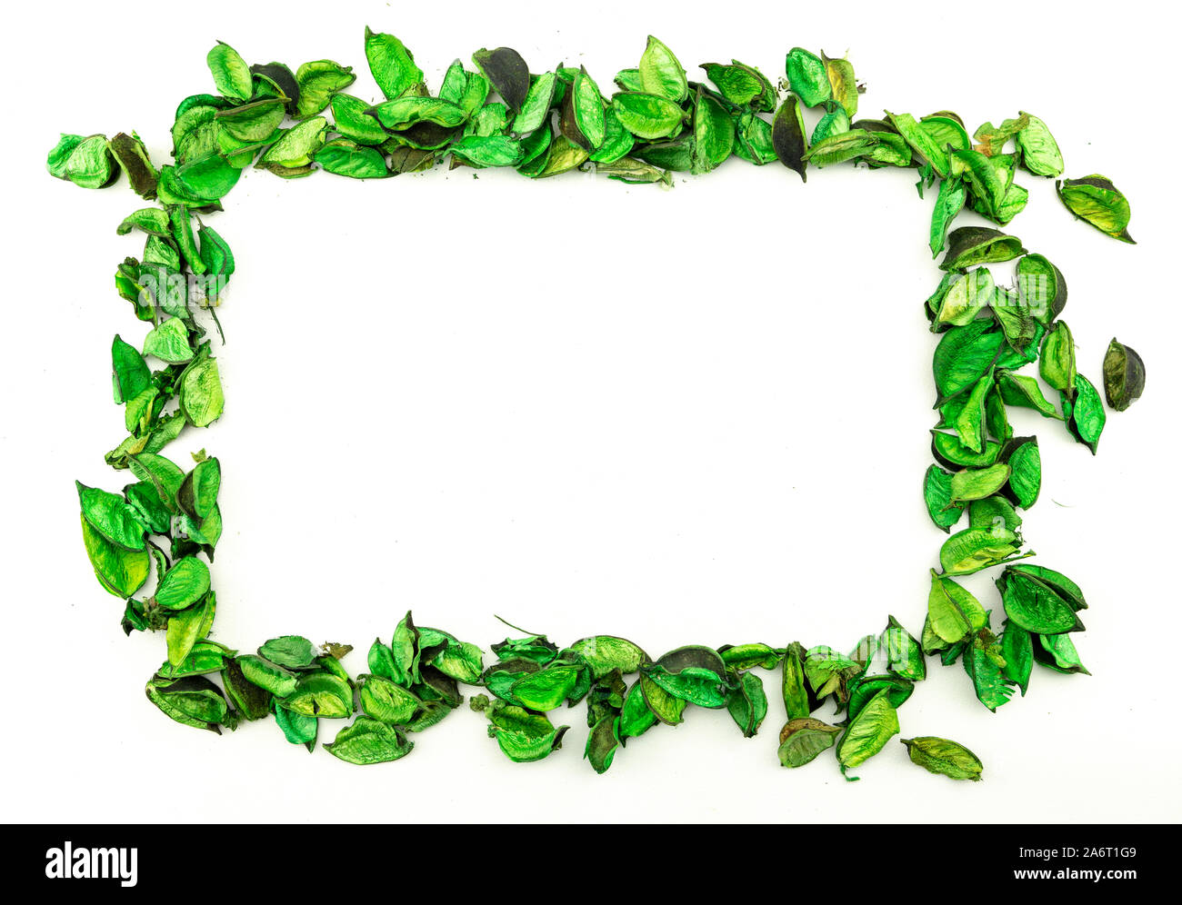 Telaio spazio copia composizione formata da pot-pourri di essiccati fiori verdi su sfondo bianco Foto Stock