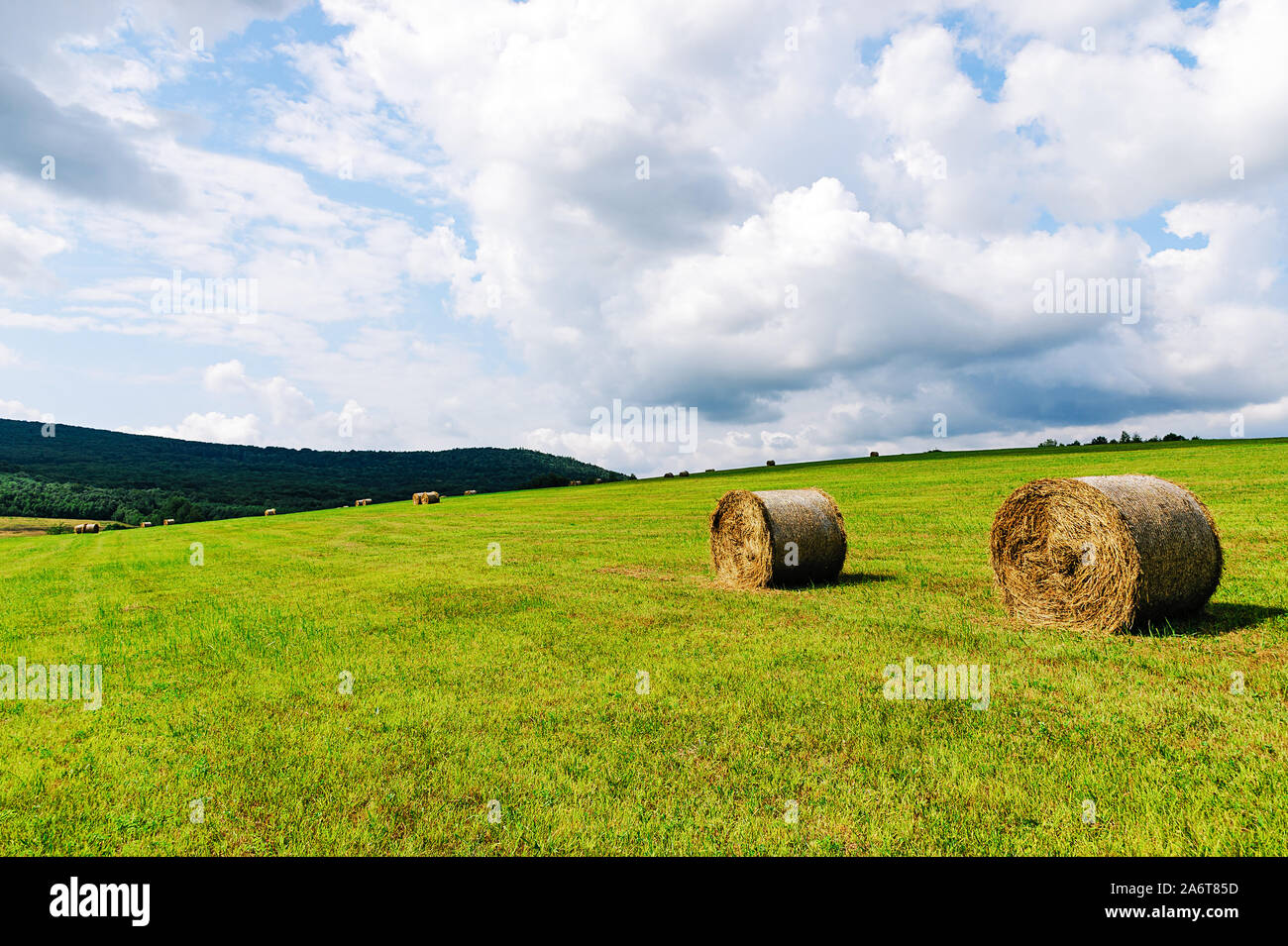 Il paesaggio agricolo - Azienda agricola idilliaco campo con balle di fieno in una giornata di sole Foto Stock