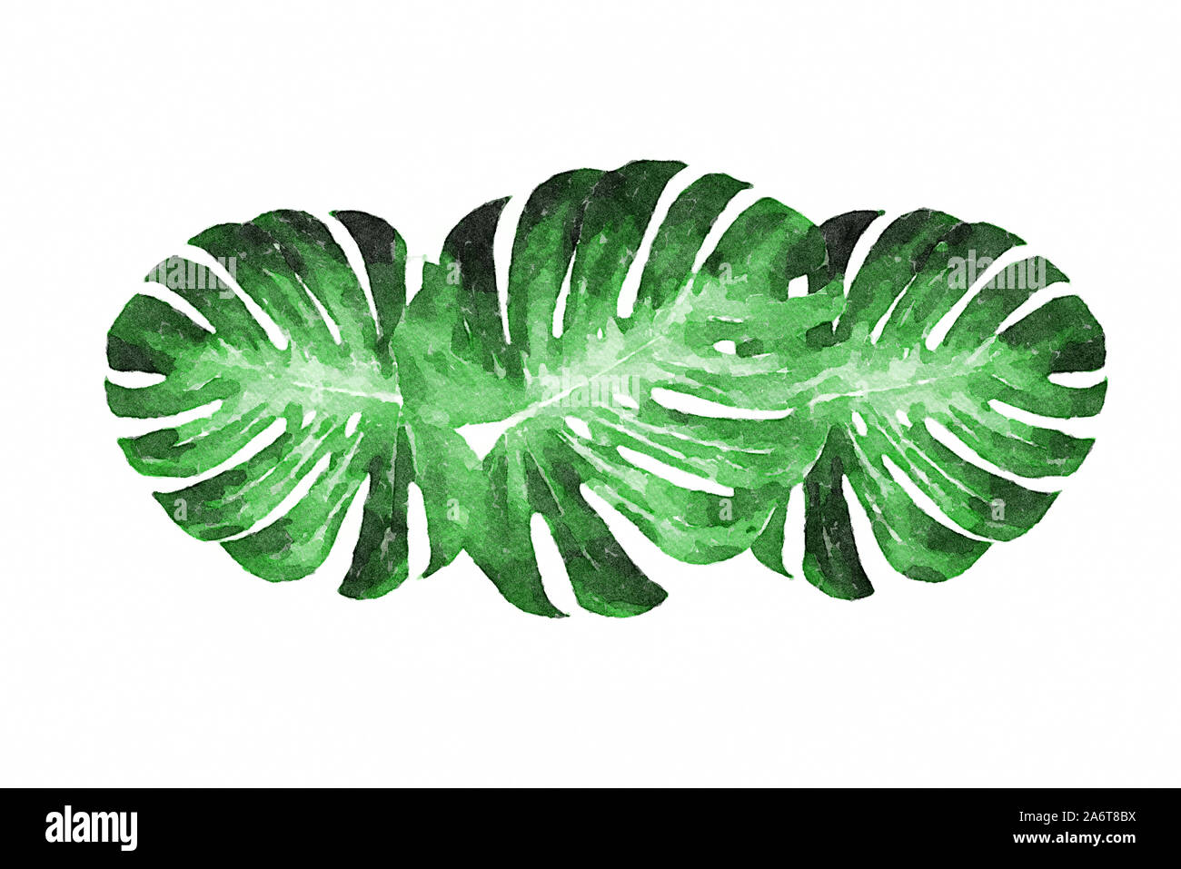 Arte digitale pittura - foglie verdi di un fiore tropicale monstera isolati su sfondo bianco (effetto acquerello) Foto Stock