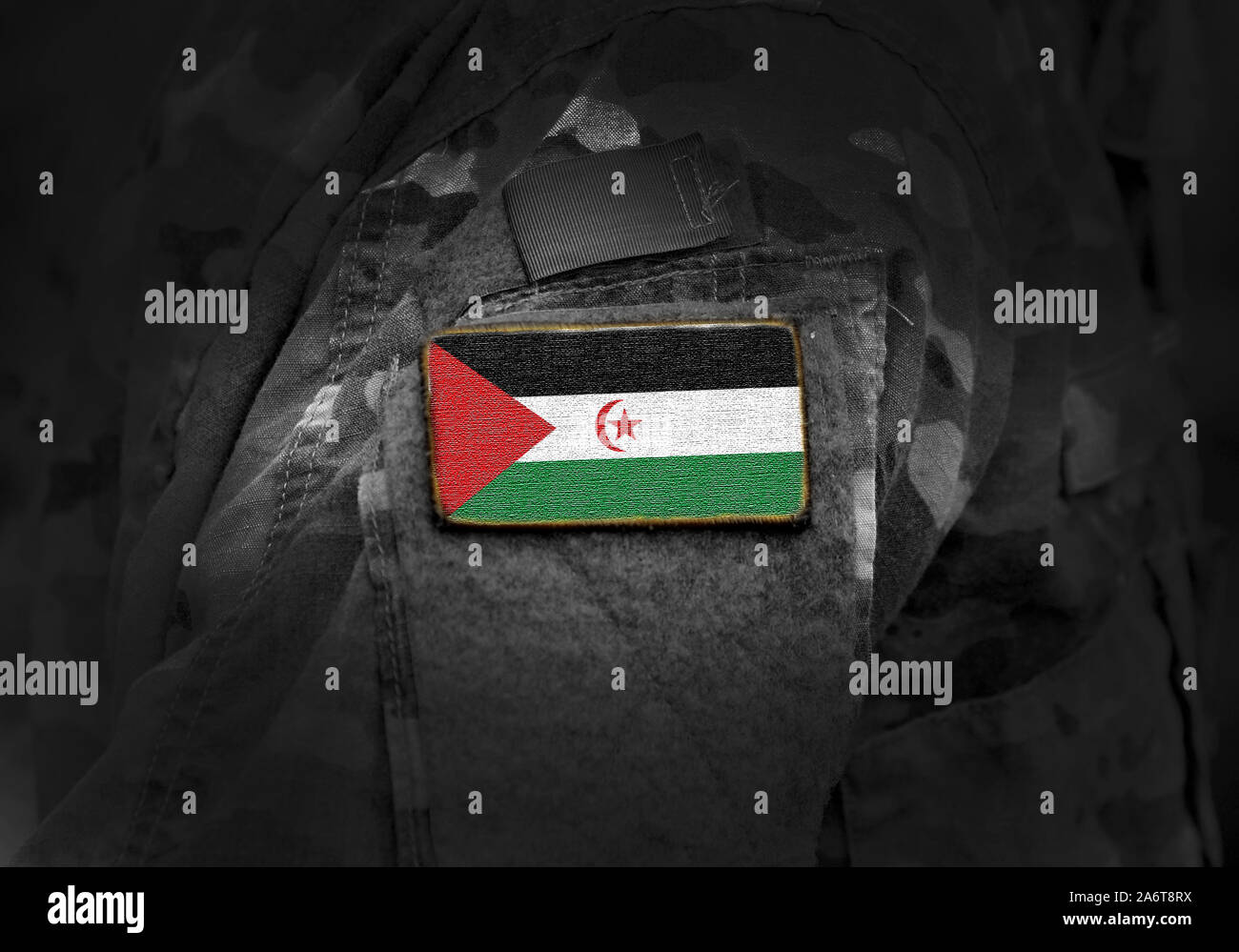 Bandiera di Araba Saharawi Repubblica democratica in uniforme militare. Esercito, truppe militari. Collage. Foto Stock