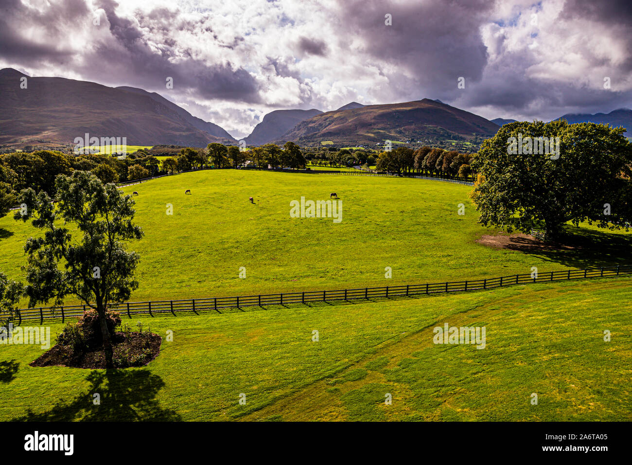Cavalli che pascolano su lussureggianti paddock verdi dal Gap di Dunloe. Vista dal Dunloe Hotel vicino Killarney, Irlanda Foto Stock