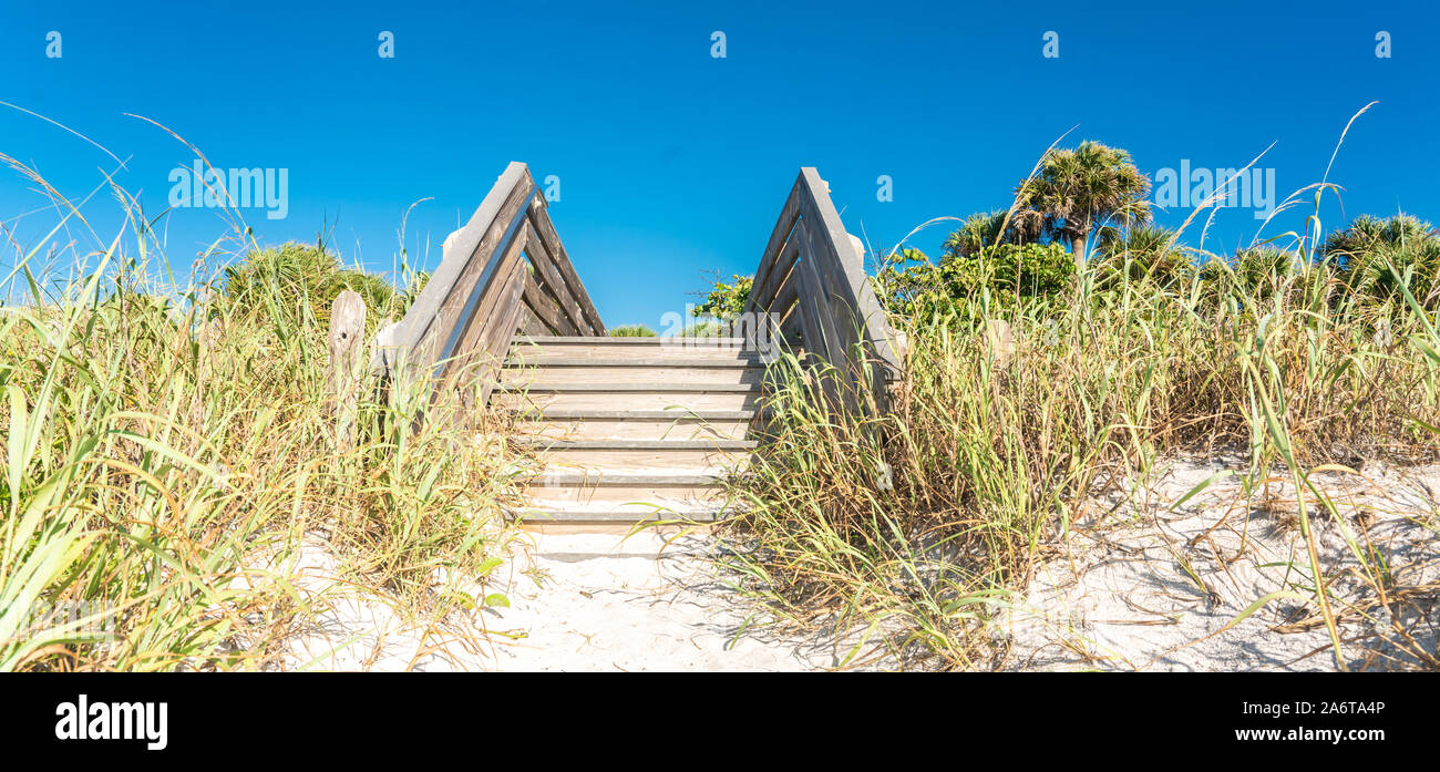 Scale di legno sulla duna di sabbia e di erba in spiaggia in Florida, Stati Uniti d'America Foto Stock