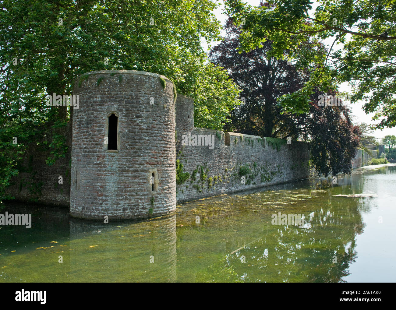 Muro di cinta del Palazzo Vescovile. Pozzetti, Somerset, Inghilterra Foto Stock