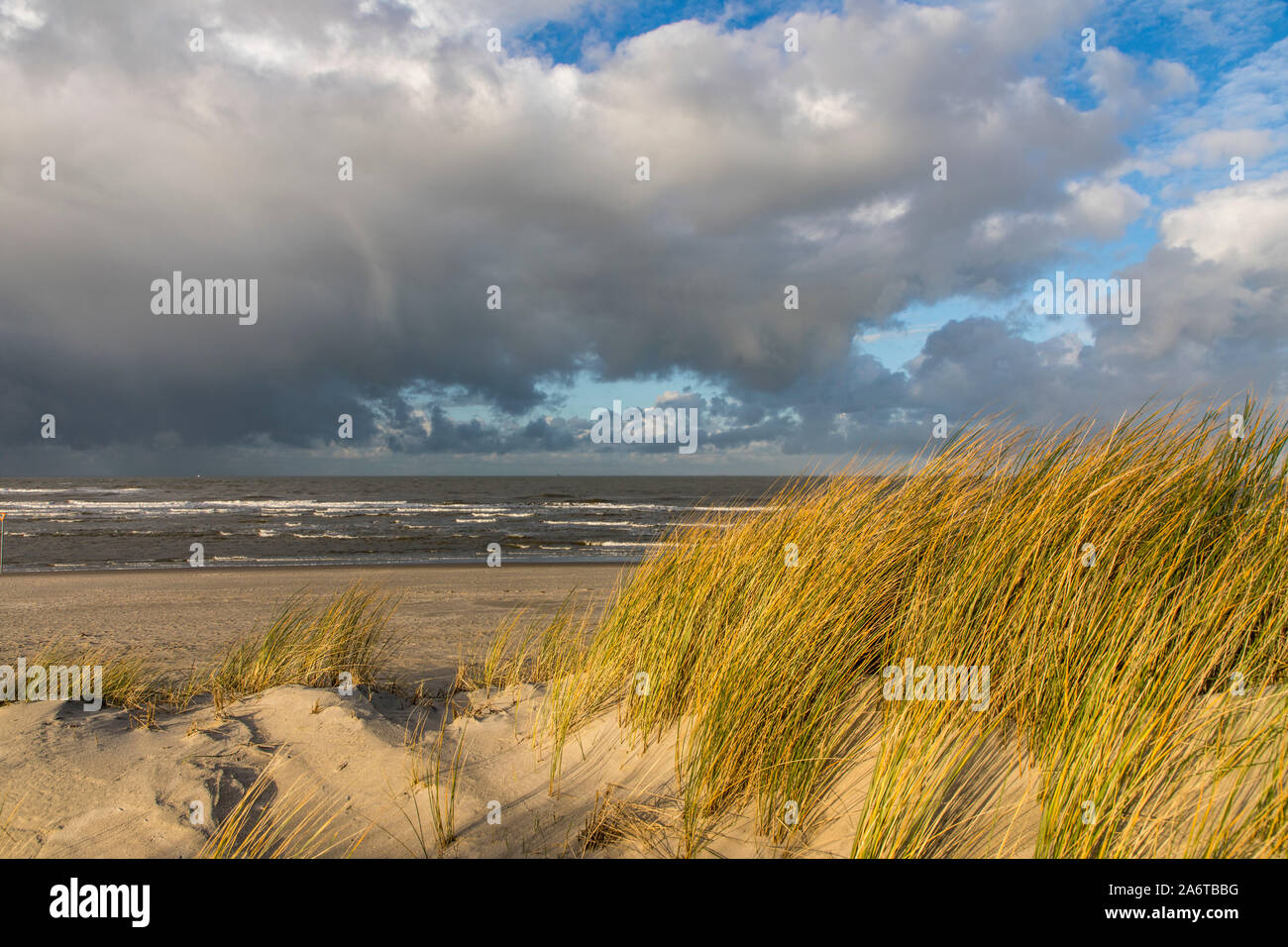 Isola del Mare del Nord Spiekeroog, Frisia orientale, in inverno, beachGermany Foto Stock