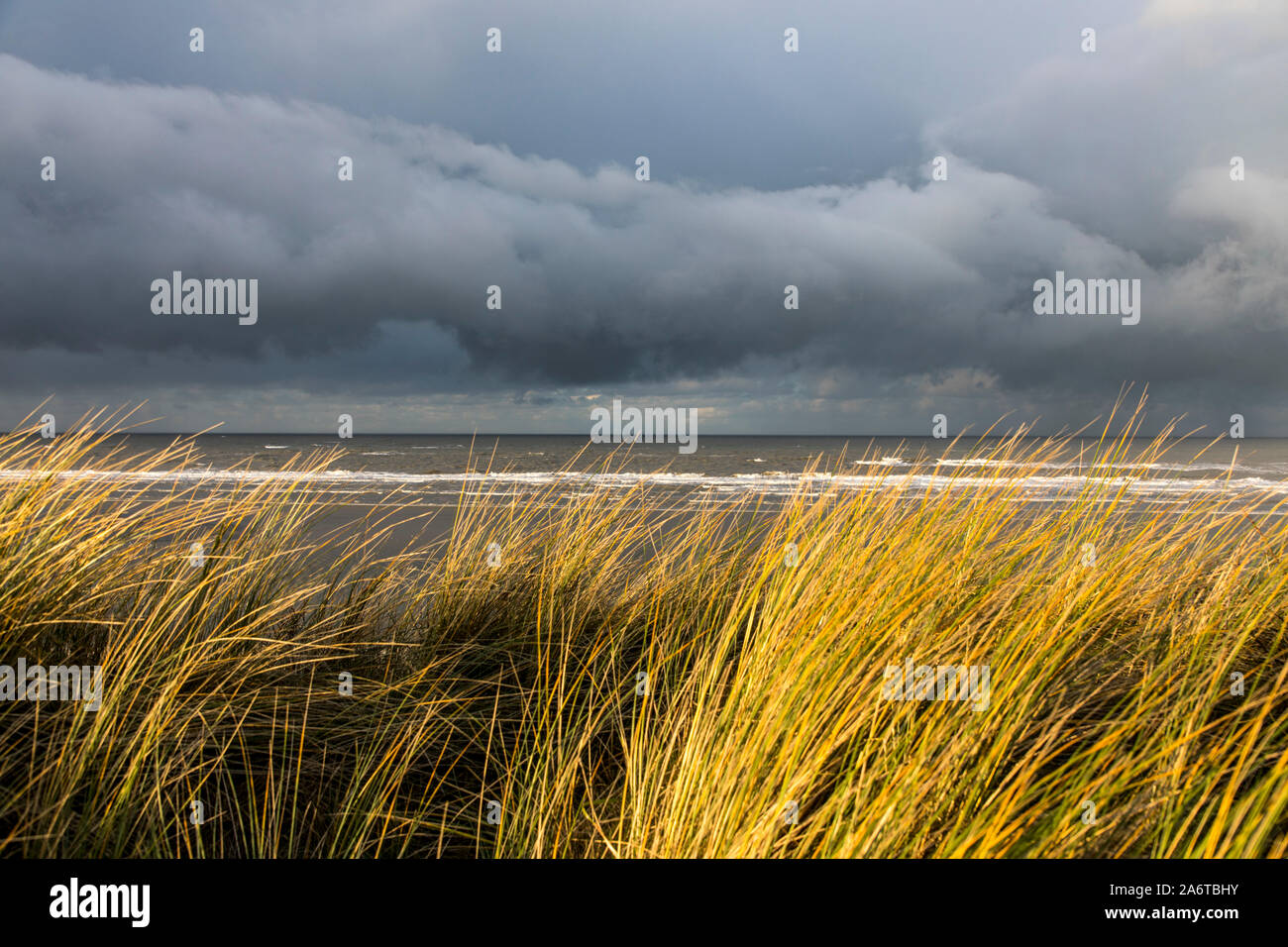 Isola del Mare del Nord Spiekeroog, Frisia orientale, in inverno, beachGermany Foto Stock