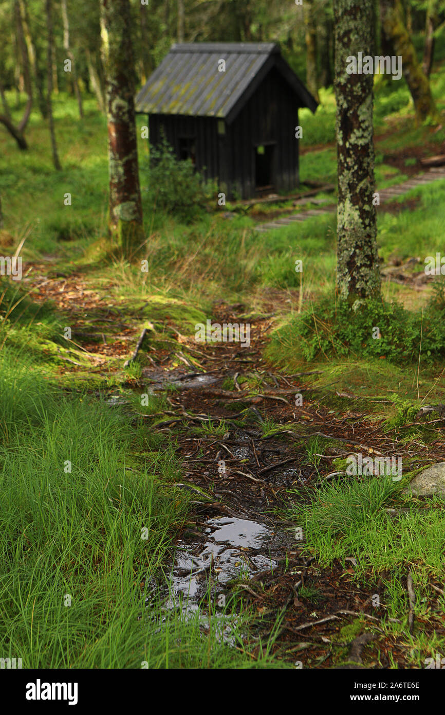 Percorso di foresta e casa in legno sul Monte Floyen. Bergen Hordaland, Norvegia. I boschi del nord. Foto Stock