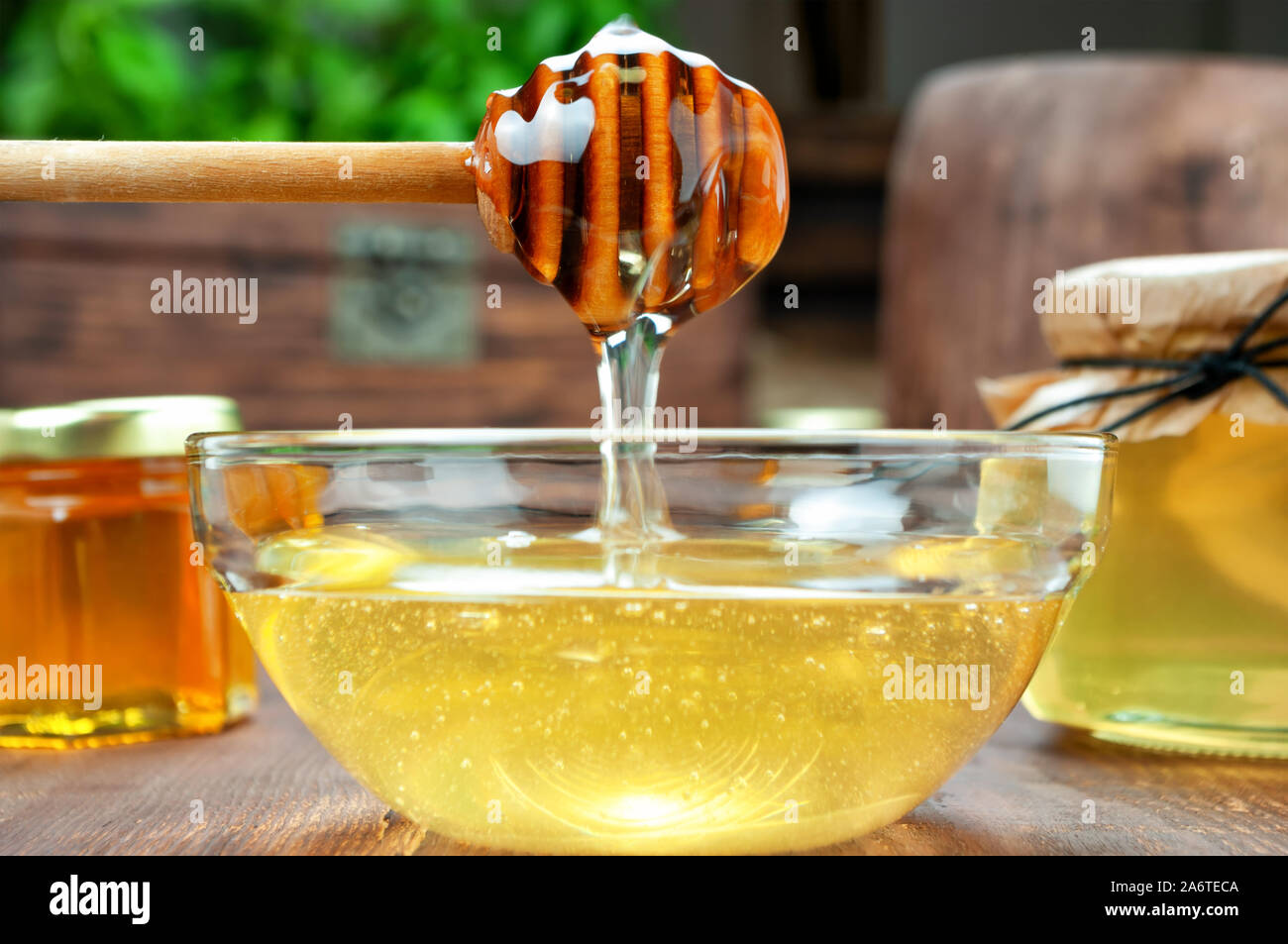 Il miele che gocciola dalla cucchiaia di miele Foto Stock