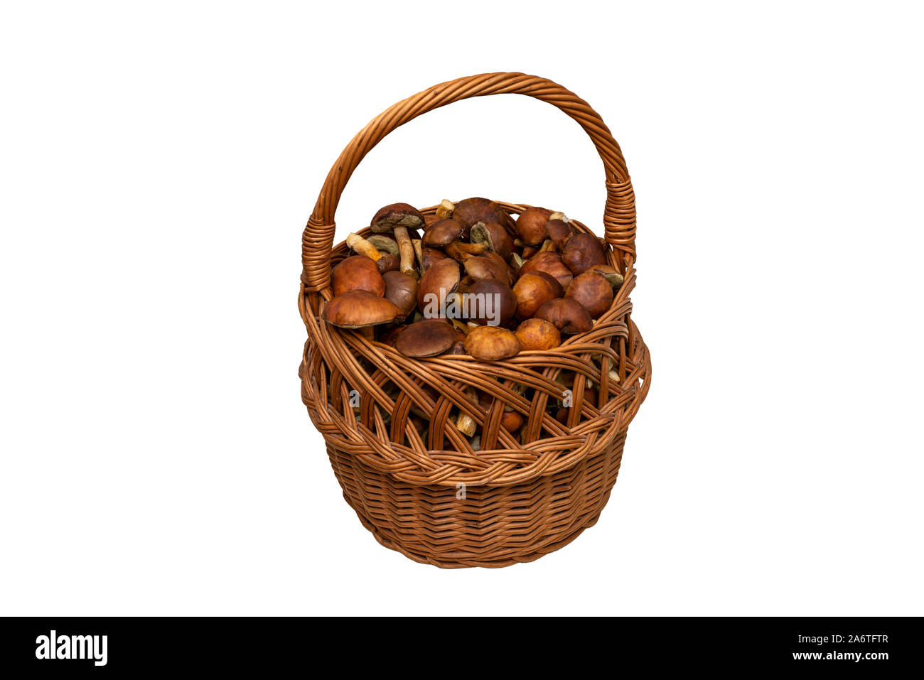 I funghi commestibili raccolti dalla foresta in un cesto di vimini, isolata su uno sfondo bianco con un tracciato di ritaglio. Foto Stock