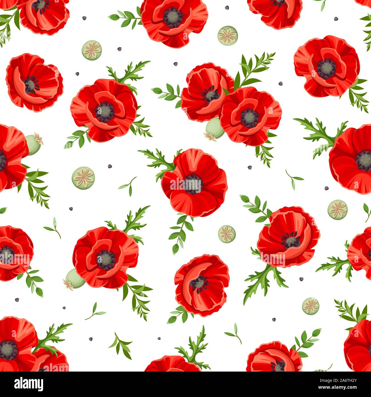 Vector seamless pattern con papavero rosso. Illustrazione Vettoriale
