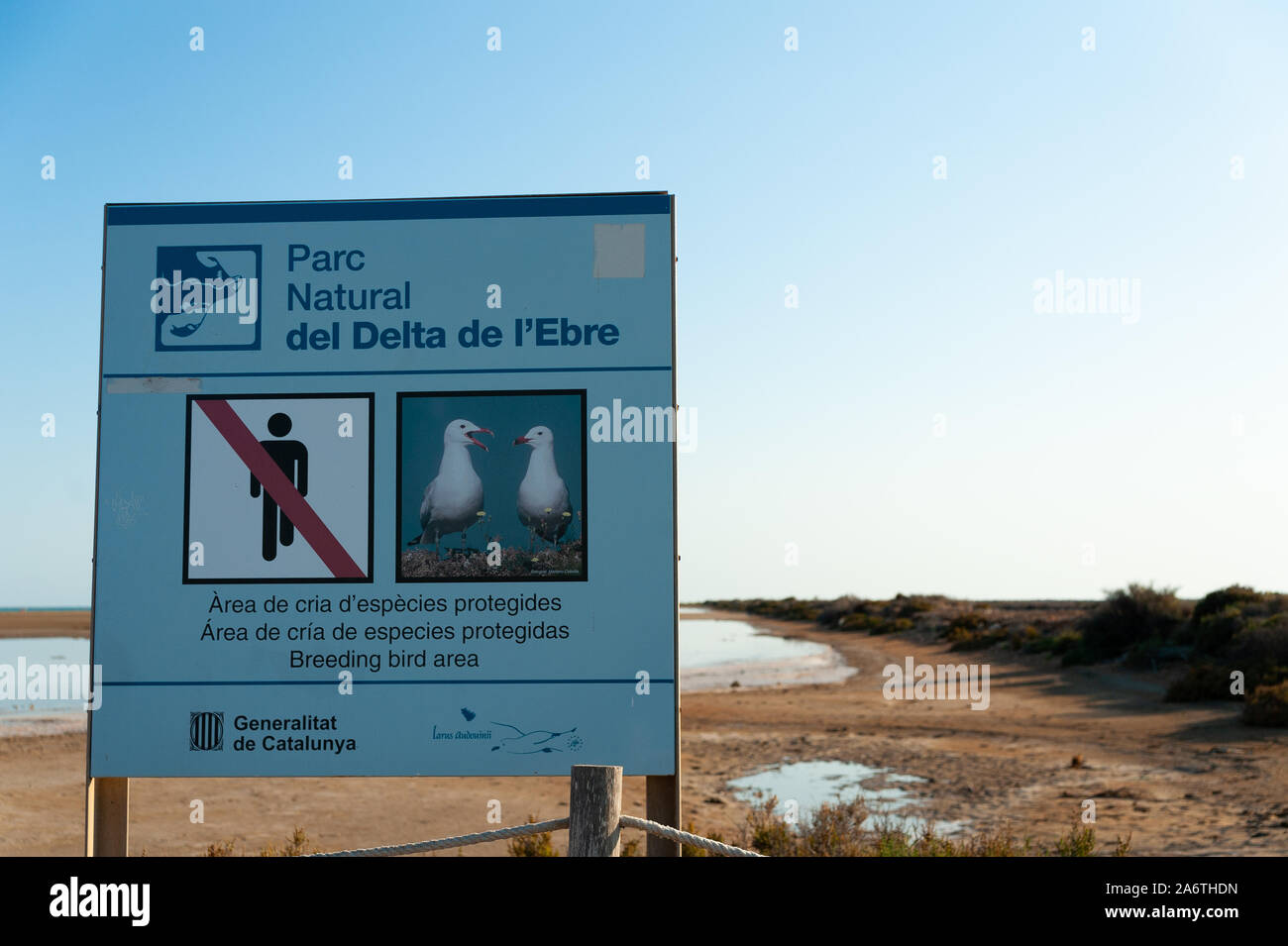 Il delta del fiume Ebro, Spagna - 10 August 2019: parco nazionale di firmare la consulenza di volatili da riproduzione area protetta nel delta del fiume Ebro national park in Catalogna, Spagna Foto Stock