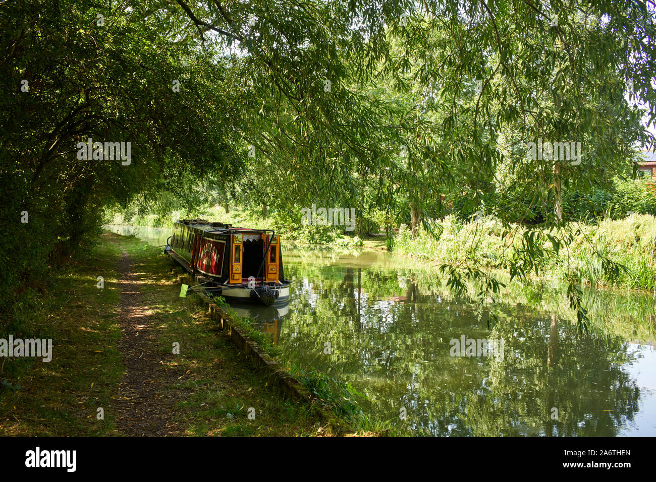 Nelle giornate più calde è consigliabile ormeggiare in qualche luogo durante la parte più calda della giornata, come sotto un salice sulla Grand Union a Milton Keynes Foto Stock