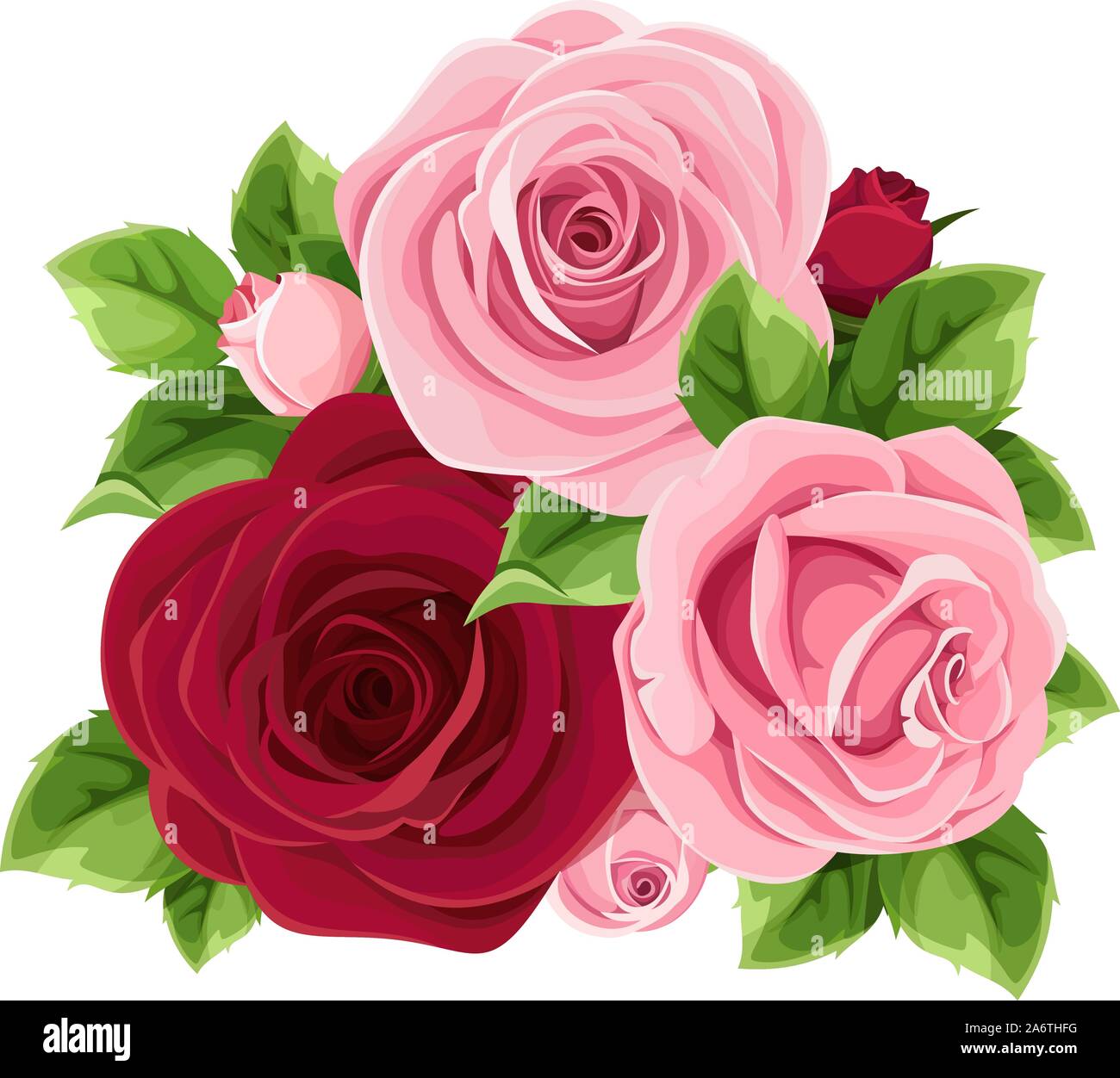 Il vettore e il Rosa Rose borgogna isolato su uno sfondo bianco. Illustrazione Vettoriale