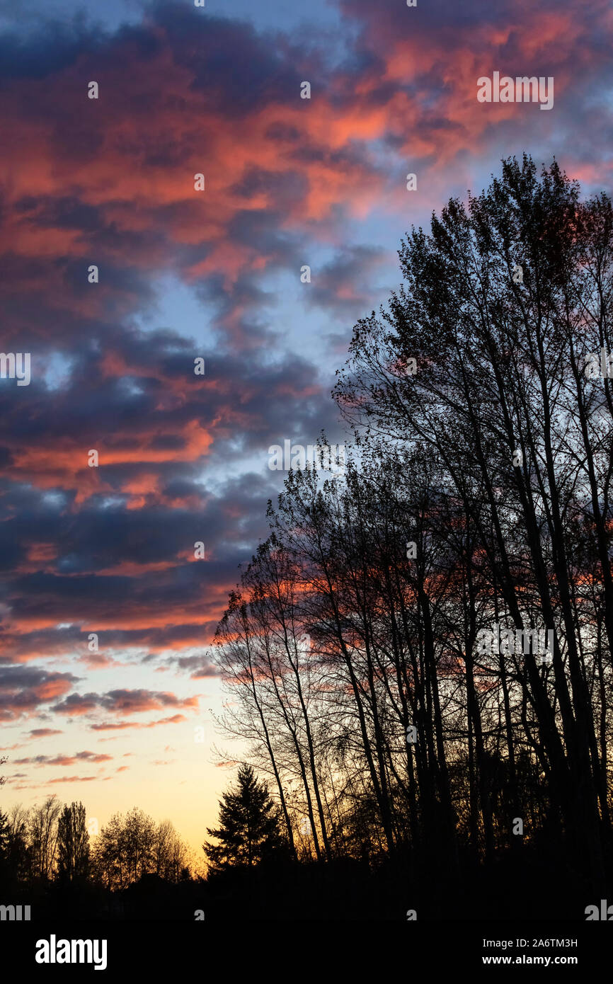 I contorni della struttura contro il cielo di sera. tramonto sullo sfondo. Foto Stock