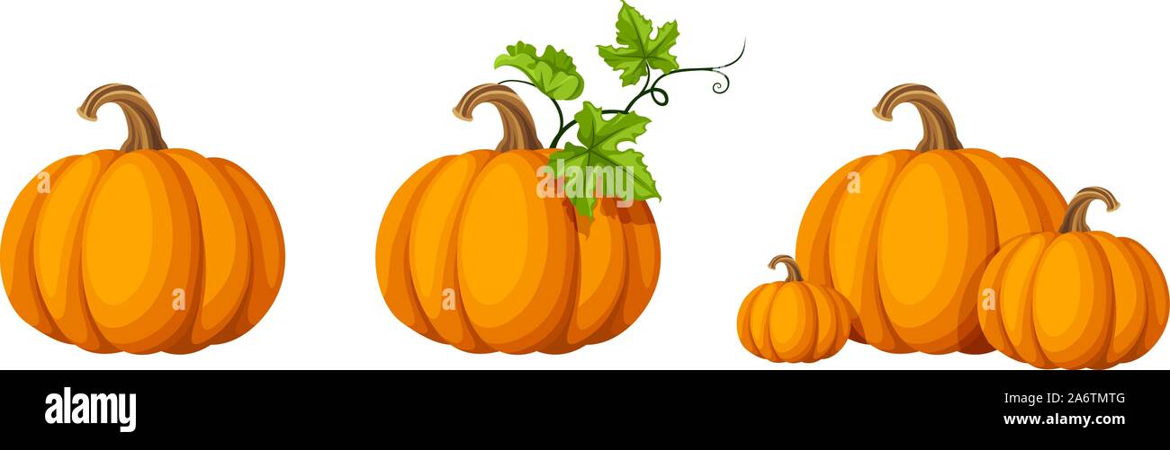 Set di vettore di zucche arancione isolato su uno sfondo bianco. Illustrazione Vettoriale