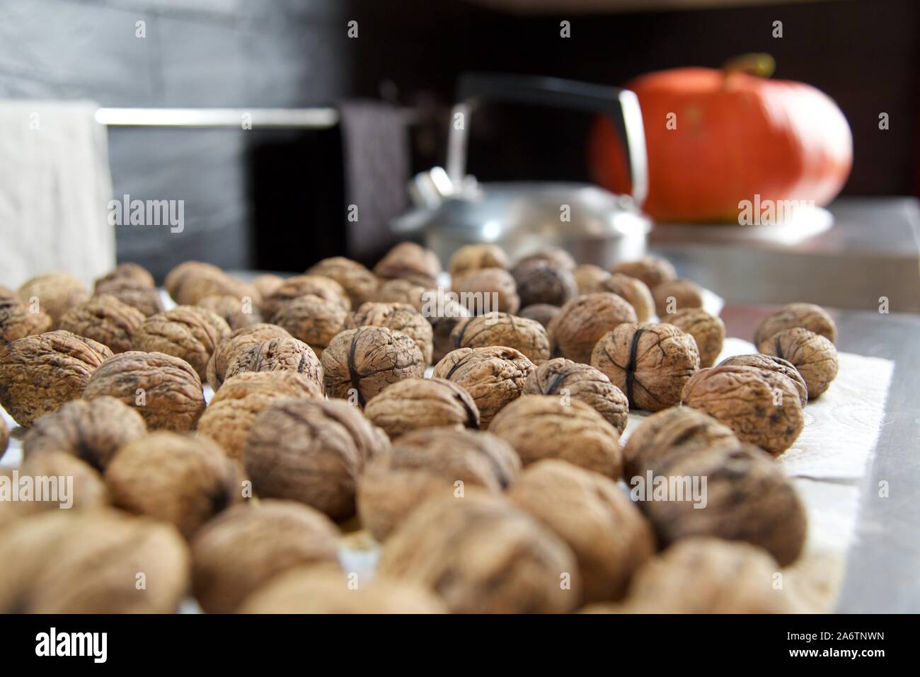 Autunno: Il raccolto di quest'anno di noci, lavate e sedete asciugando sul piano cottura, così come una zucca sullo sfondo Foto Stock