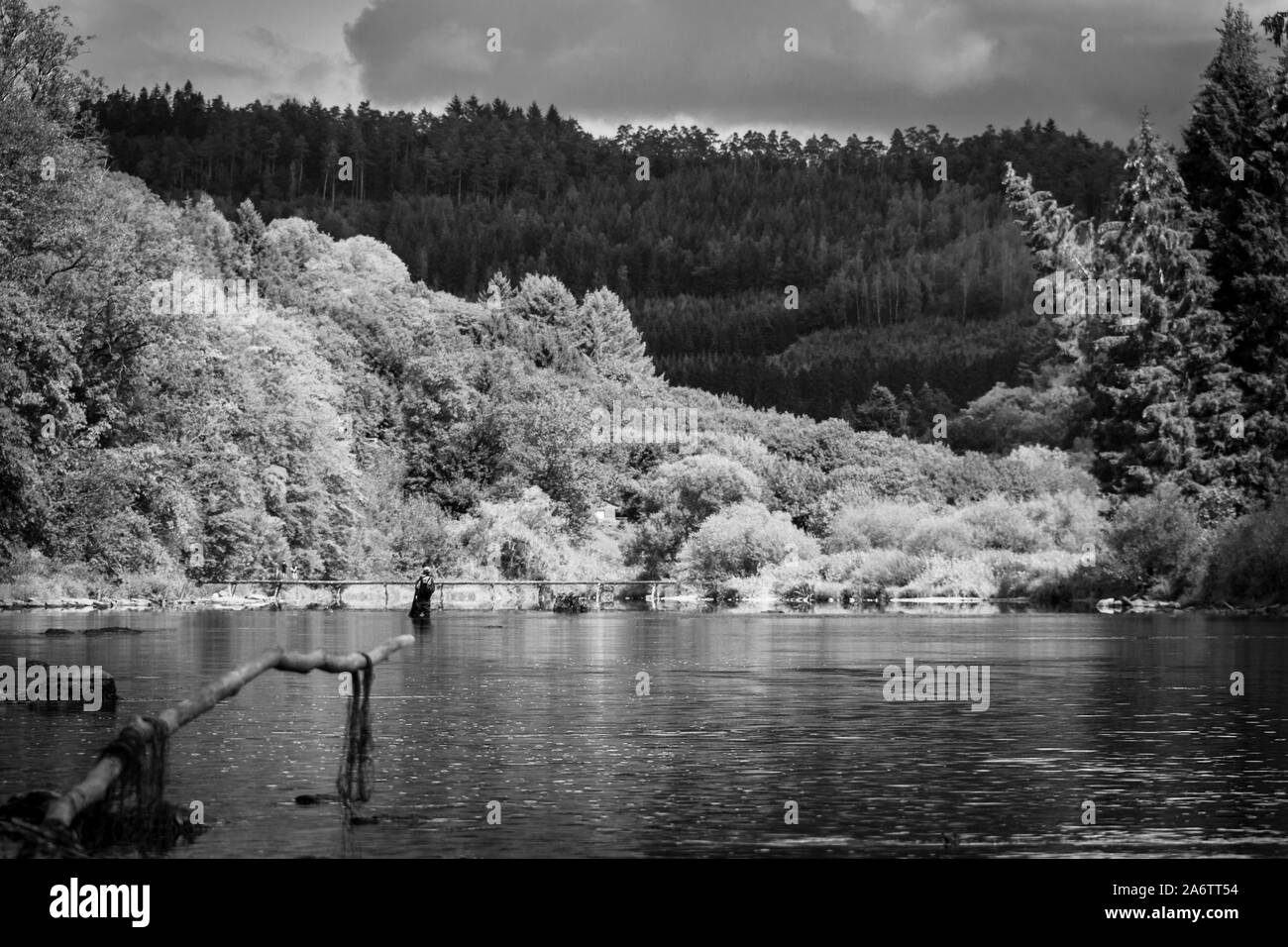 Un ritratto di un pescatore a mosca in un fiume. Il pescatore è la bobinatura nella sua asta per cercare di catturare qualche pesce. Foto Stock