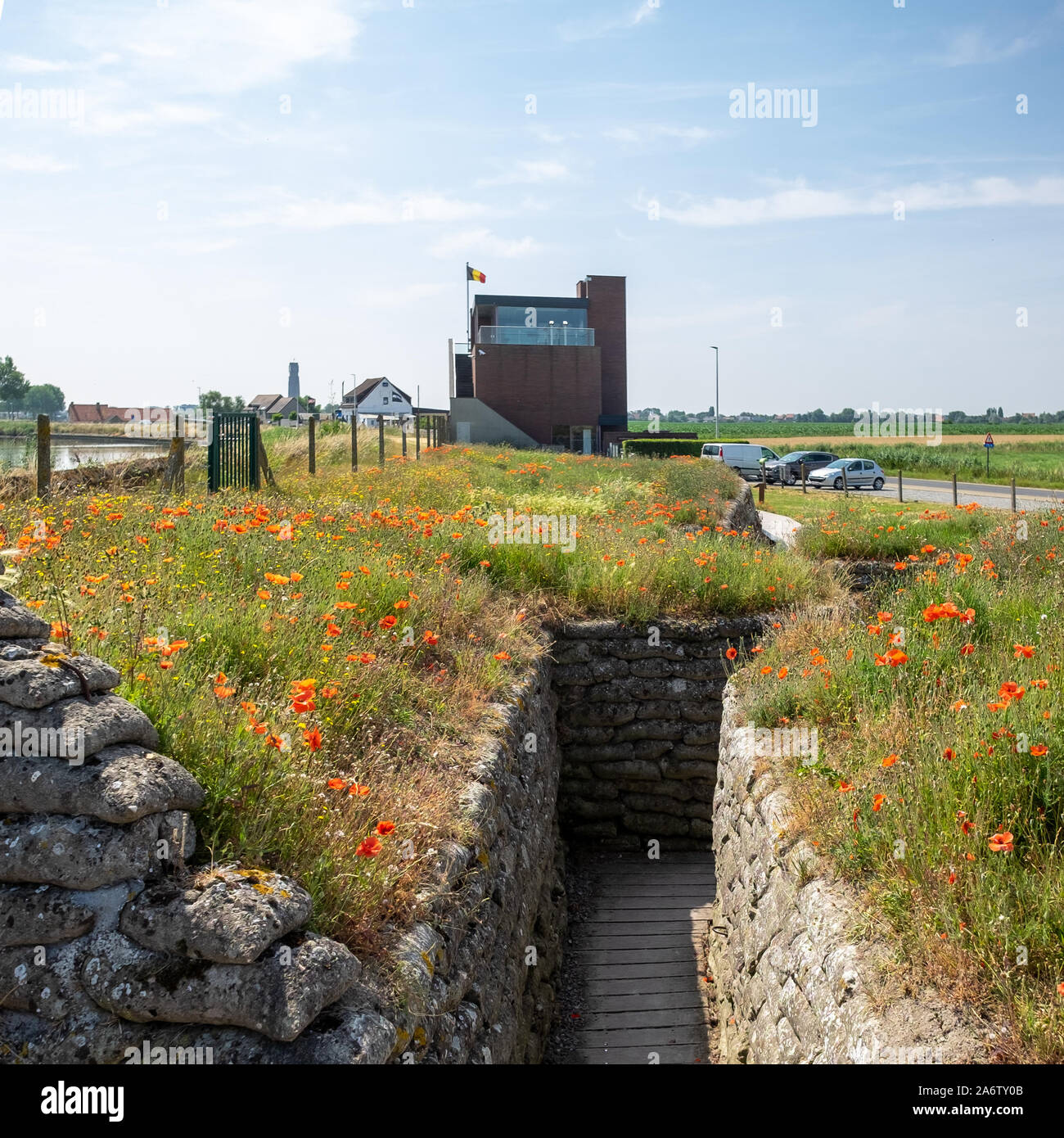 I Guerra Mondiale trincee noto come Dodengang (Trench di morte) circondato da papaveri. Situato vicino a Diskmuide, Fiandre, in Belgio Foto Stock