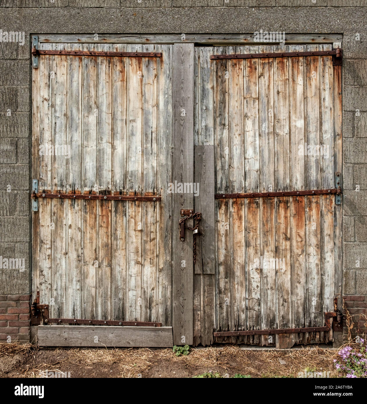 Weathered vecchio fienile in legno porta con cerniere in acciaio Foto Stock