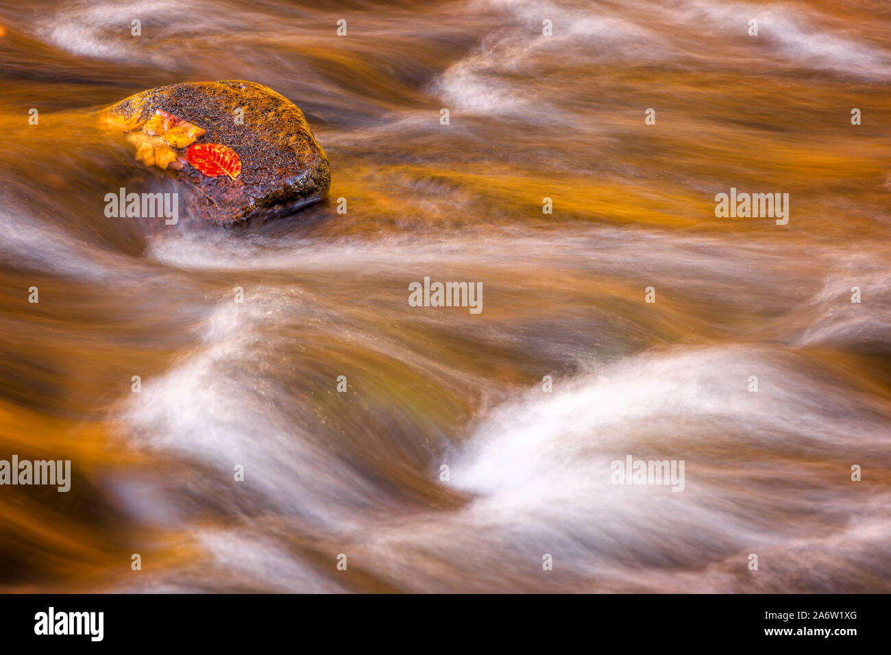 Flusso d'autunno - i colori autunnali sono riflesse nelle acque del fiume Raritan in Ken Lockwood Gorge Wildlife Management Area. Foto Stock