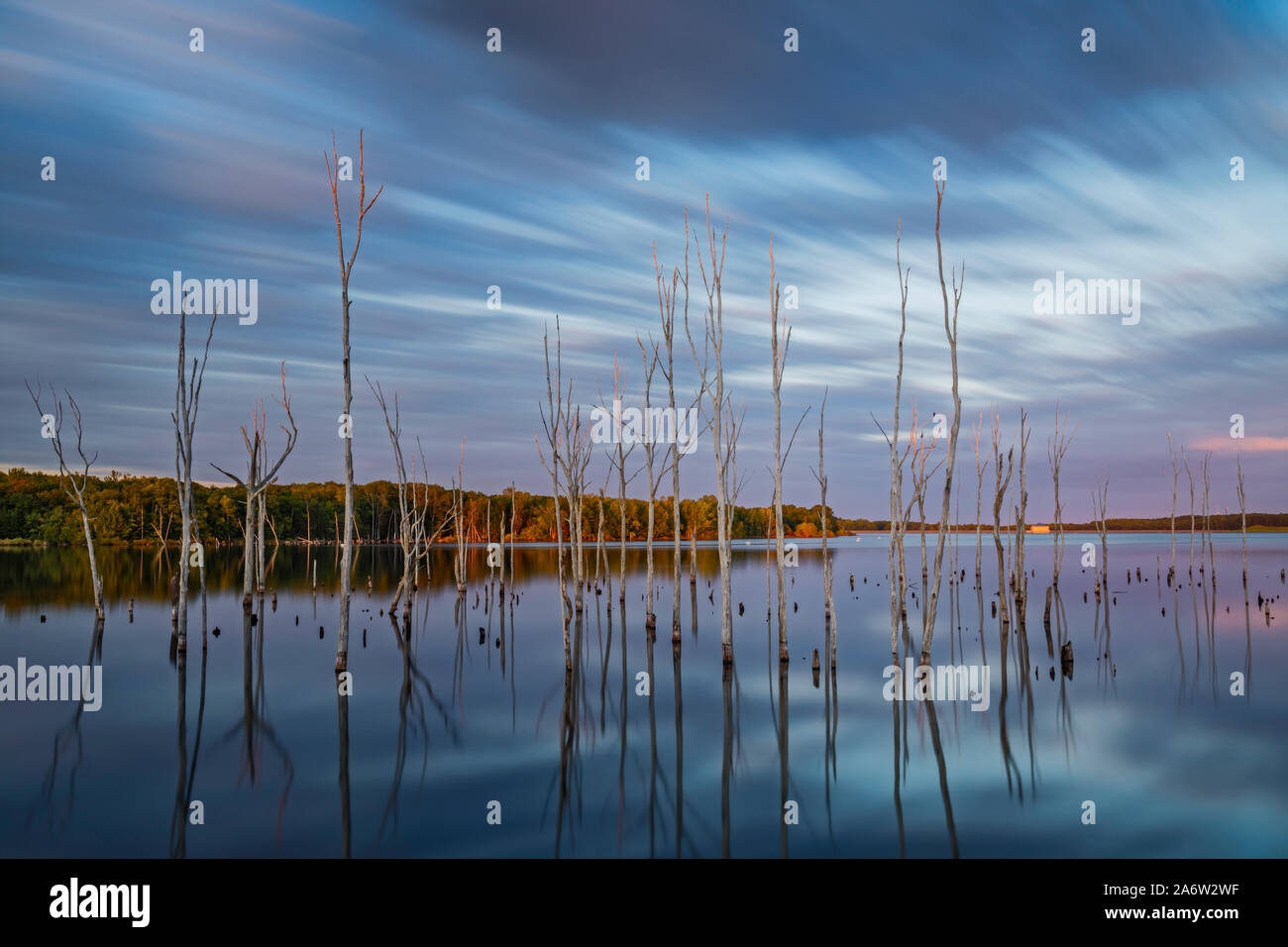 Manasquan serbatoio ultima luce - il sole illumina gli alberi e la vegetazione lungo il serbatoio Manasquan. Le nuvole nel cielo blu sono al Foto Stock