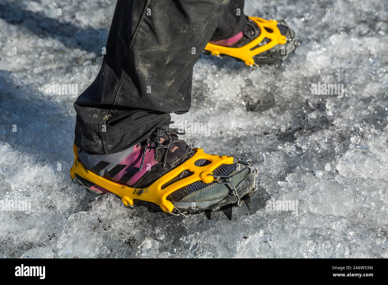 Piedi in rosa e grigio scarpe da corsa con picchi di trazione strapped on  per camminare su terreni sdrucciolevoli di ghiaccio su un ghiacciaio. A  guadagnare trazione sul suolo ghiacciato Foto stock -