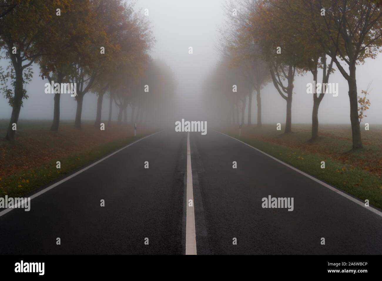 La strada in autunno e la nebbia spessa Foto Stock