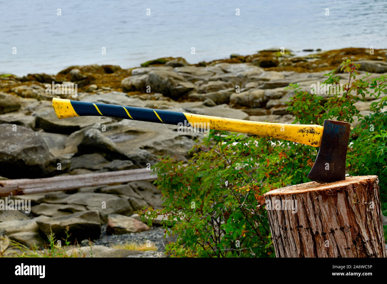Un'ascia con un giallo e nero maniglia bloccata in un pezzo di tronco di albero che è stato usato come un blocco di suddivisione sulle rive dell'isola di Vancouver, British colonna Foto Stock