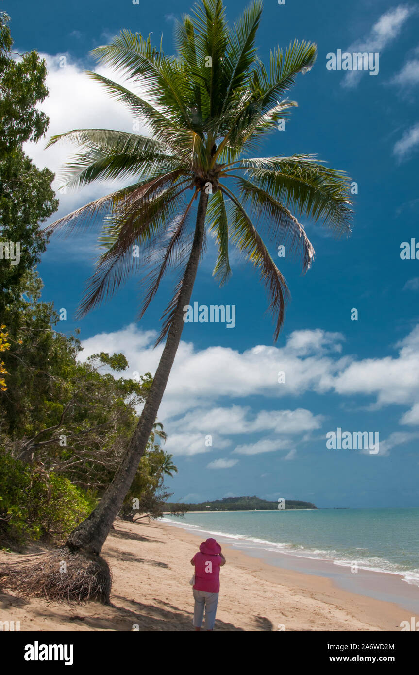 Clifton Beach, a nord di Cairns, una trafficata destinazione turistica in Tropical North Queensland, Australia Foto Stock