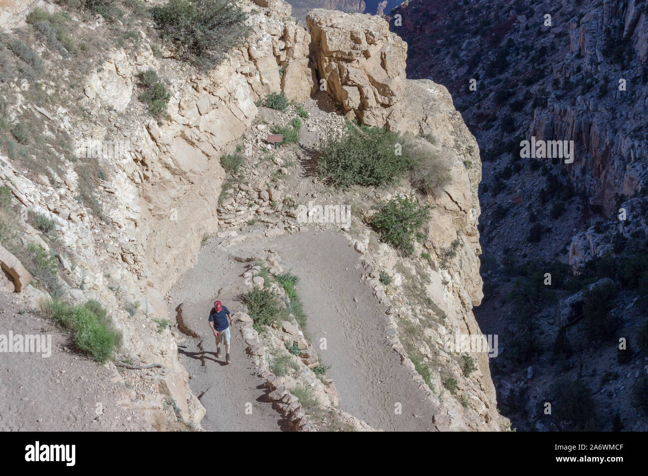 Escursionista solitario su un sentiero pericoloso sul bordo di una scogliera ripida nel Parco Nazionale del Grand Canyon Foto Stock