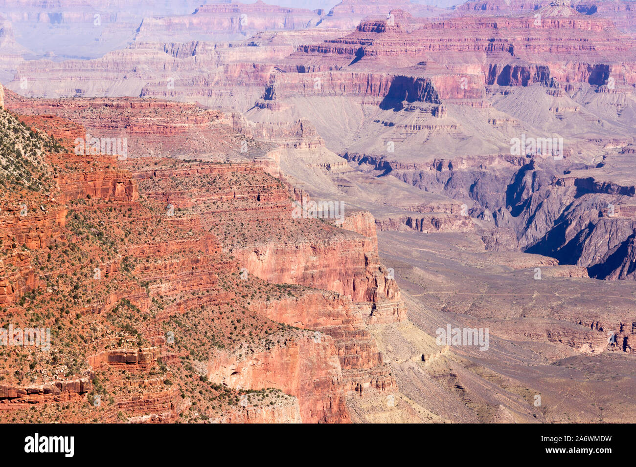 New Scenic 5 posti, ampia vista del rosso e del marrone scogliere nel Grand Canyon su un chiaro, giornata soleggiata con cielo blu Foto Stock