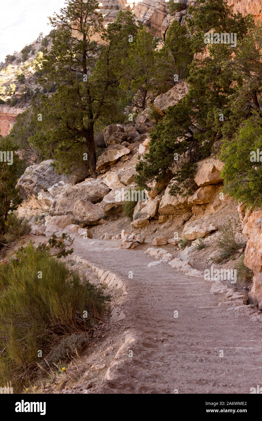 La sporcizia trail nel Parco Nazionale del Grand Canyon con alberi e spazzola scrub e rocce Foto Stock