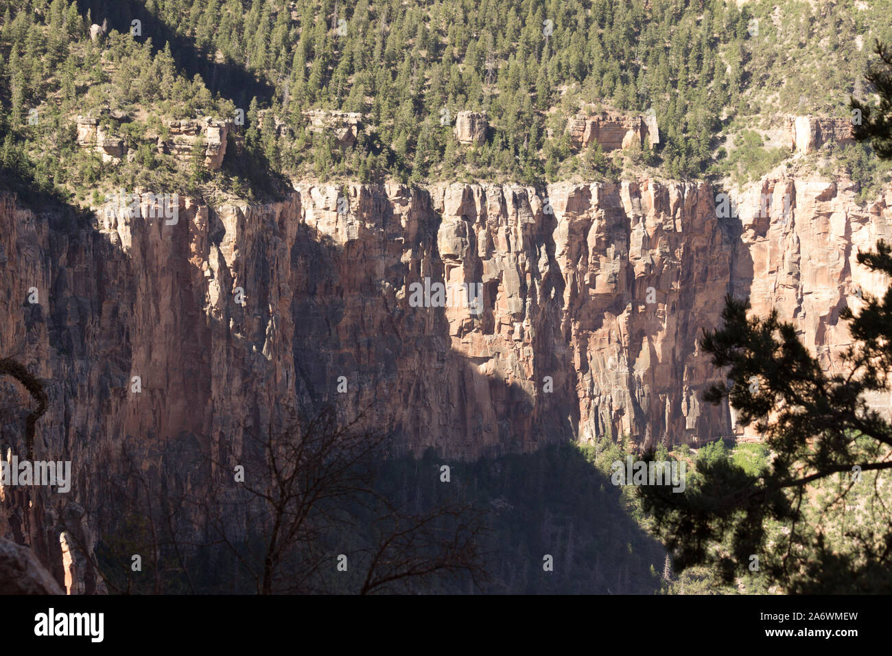 New Scenic 5 posti, ampia veduta della scogliera nel Grand Canyon su una chiara giornata di sole Foto Stock