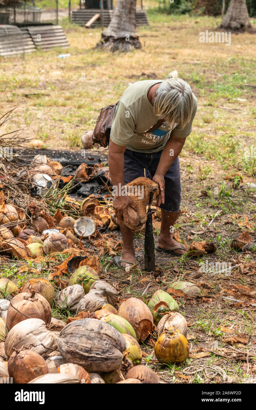 Ko Samui, Tailandia - 18 Marzo 2019: dai capelli grigi uomo esegue la fase uno della elaborazione di cocco: dehusking exocarp di cocco raccolte utilizzando Foto Stock