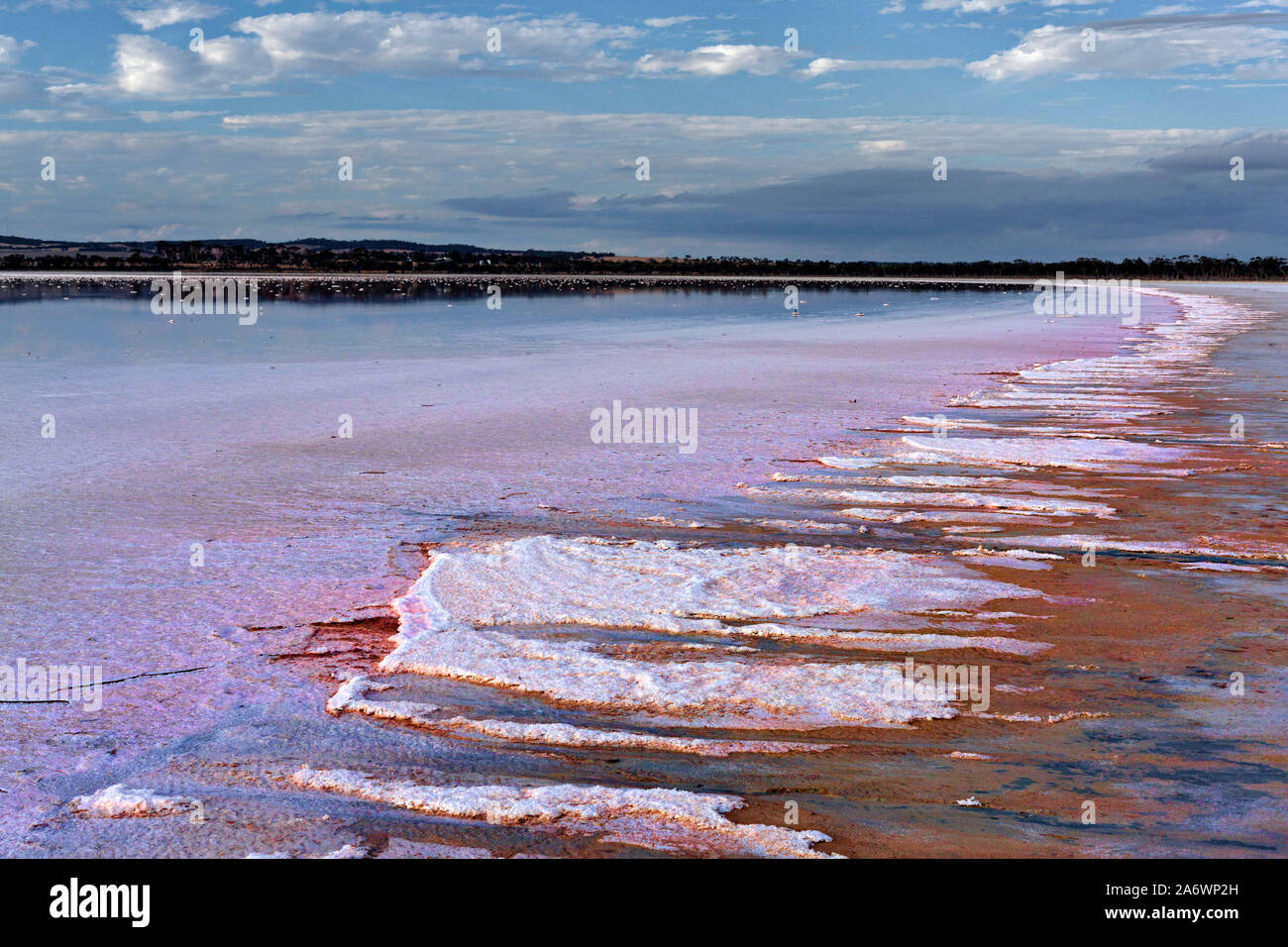 Il lago di Ninan, Salt Lake, Victoria Plains Western Australia Foto Stock