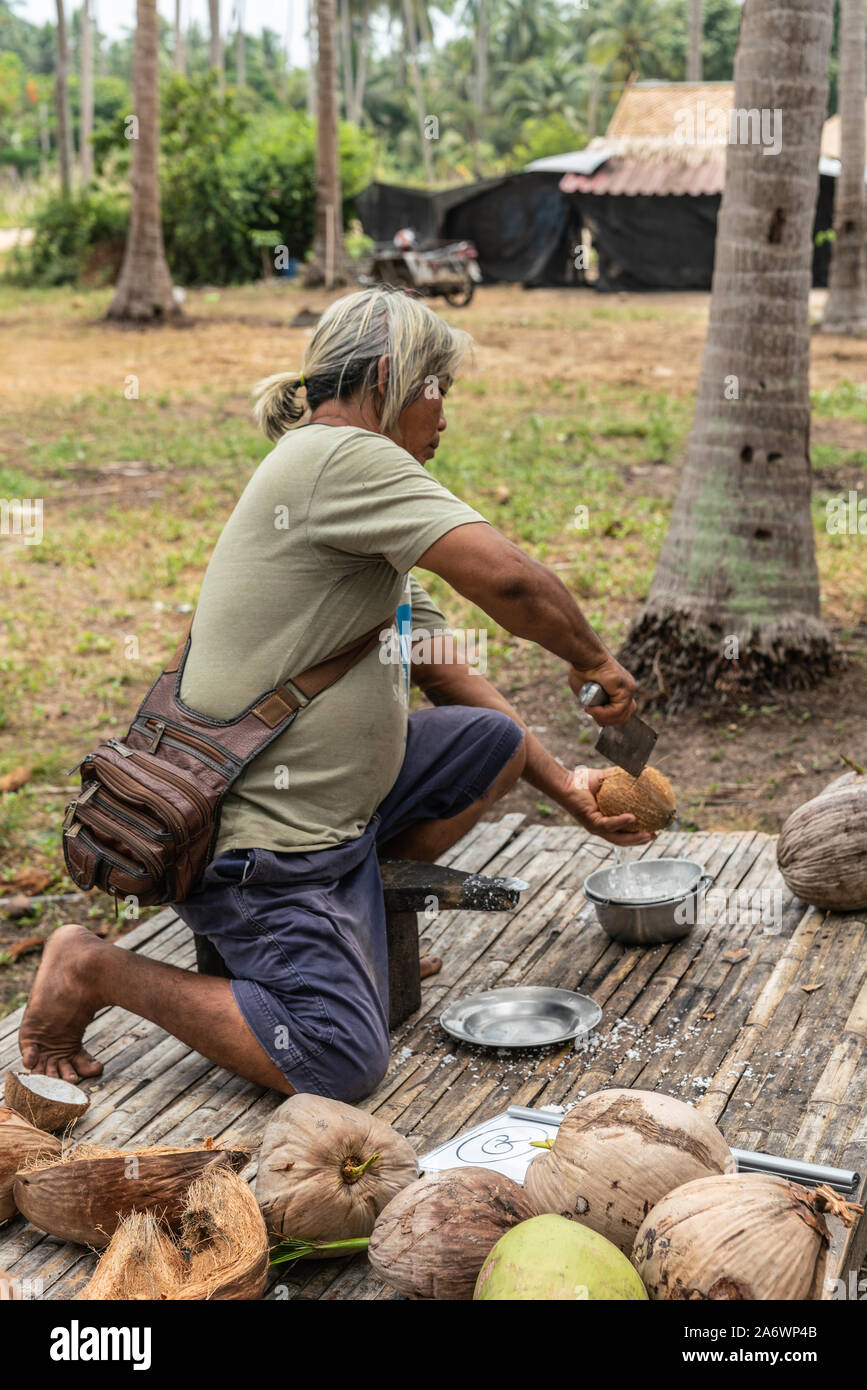 Ko Samui, Tailandia - 18 Marzo 2019: dai capelli grigi uomo esegue la fase due della elaborazione di cocco: Apertura mesocarpo delle raccolte con noce di cocco Foto Stock
