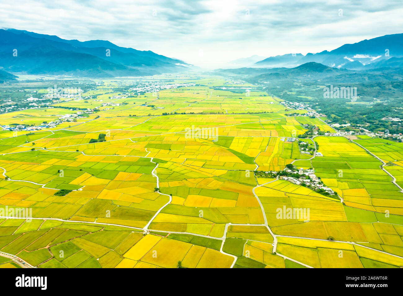 Vista aerea di bellissimi campi di riso in taitung . Taiwan. Foto Stock