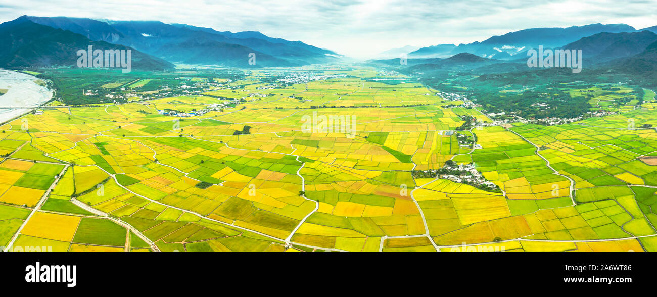 Vista aerea di bellissimi campi di riso in taitung . Taiwan. Foto Stock