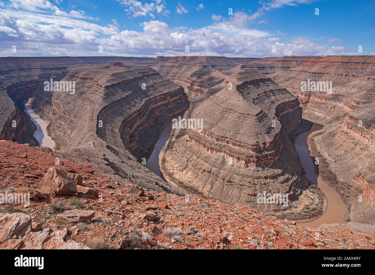 Meandri drammatica degli snodi in un deserto canyon del fiume San Juan nel parco statale Goosenecks nello Utah Foto Stock