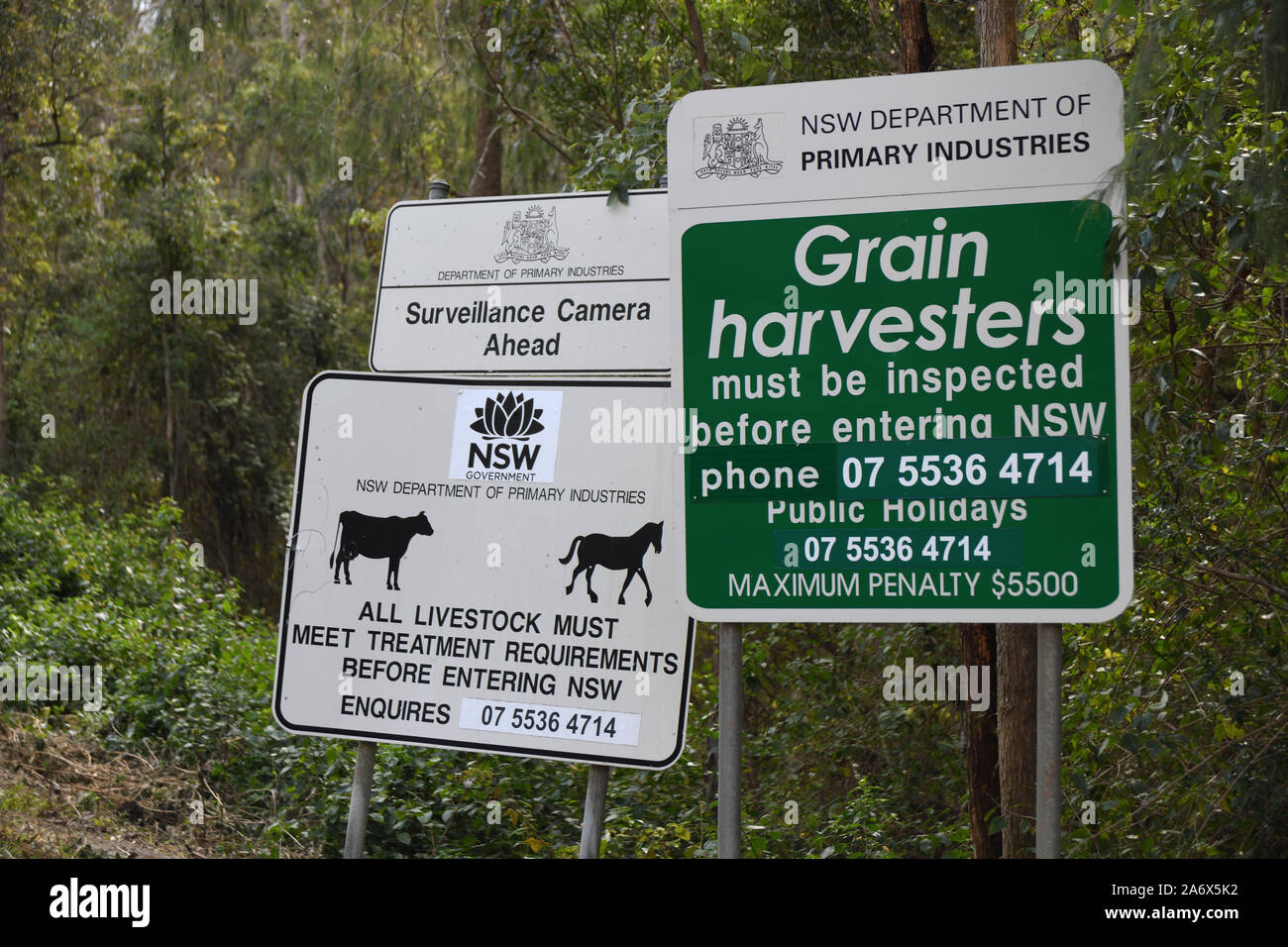 Segnaletica per il confine tra del Queensland e del Nuovo Galles del Sud vicino a Mt Lindsey avverte di regolamenti agricoli nel Nuovo Galles del Sud Foto Stock