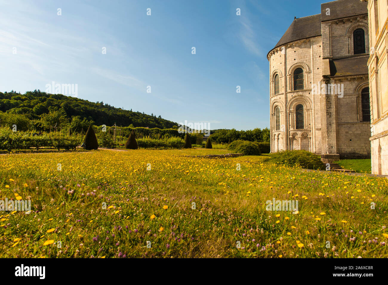 L' Abbazia di St-Georges-de-Boscherville è impostata nella bellissima natura e circondato da grandi giardini, St-Martin-de-Boscherville, Normandia, Francia Foto Stock